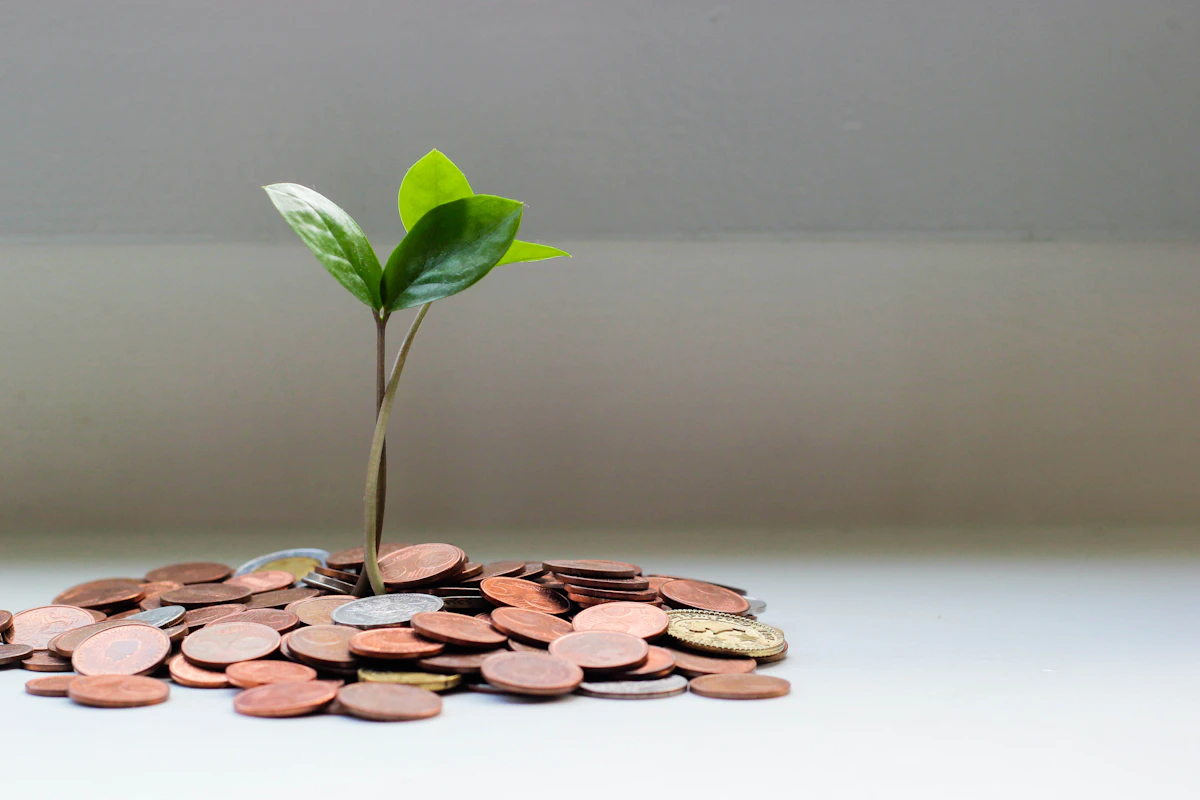 How to invest first 1000 dollars — passive income and side hustles article illustration